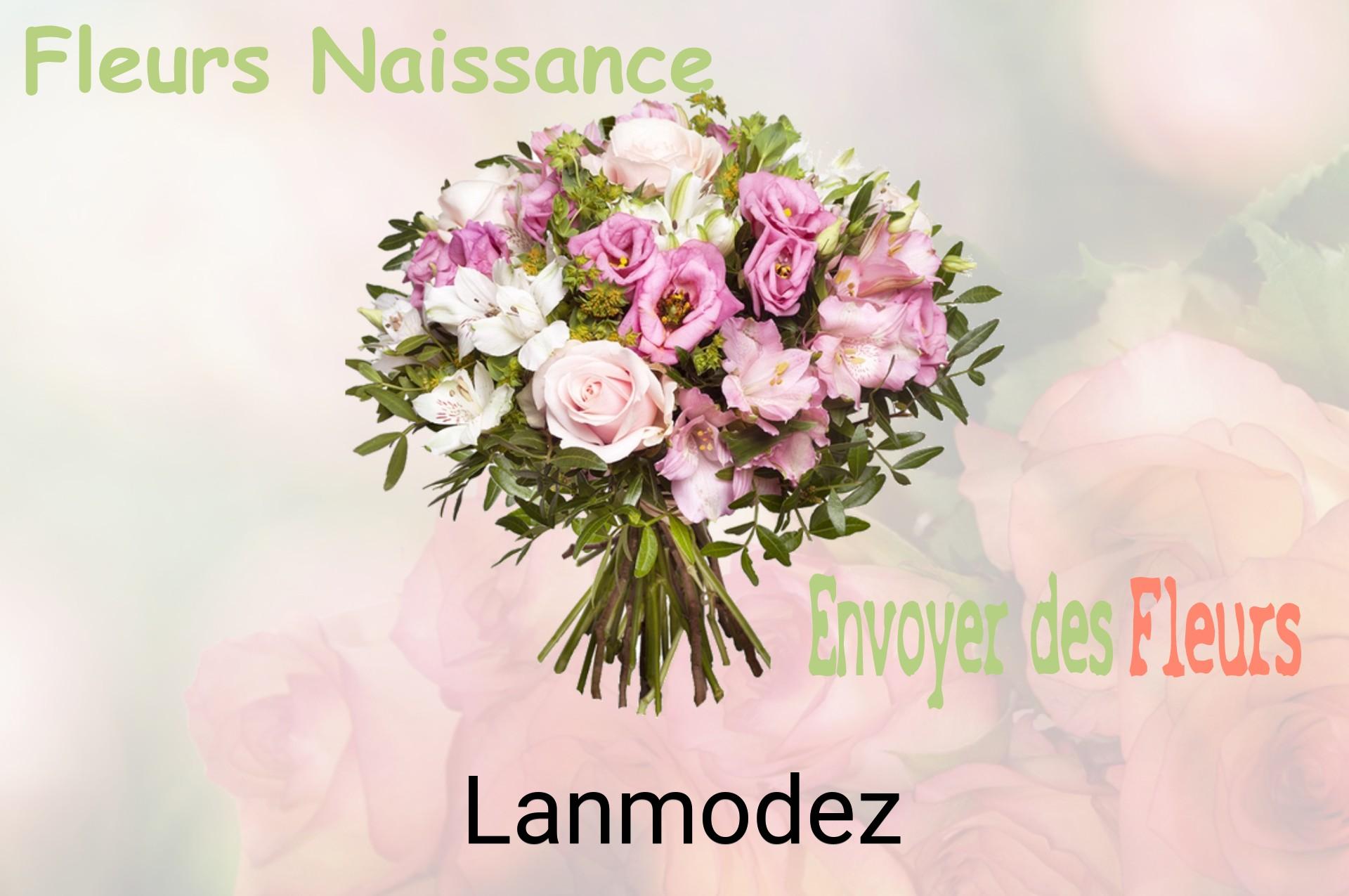 Bouquet de fleurs de naissance livré à Lanmodez